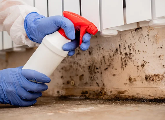 Mold Inspections & Testing Warwick