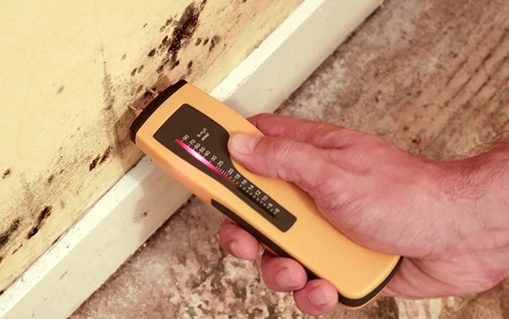 Mold Testing Services Warwick